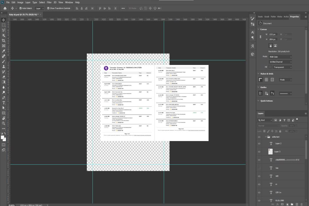 Modèle Word et PDF de relevé de transaction India PhonePe, 2 pages template